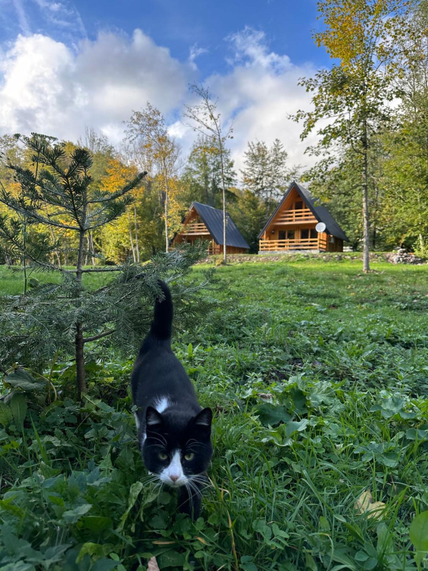 Ethno Village Long Story Kolašin Zewnętrze zdjęcie